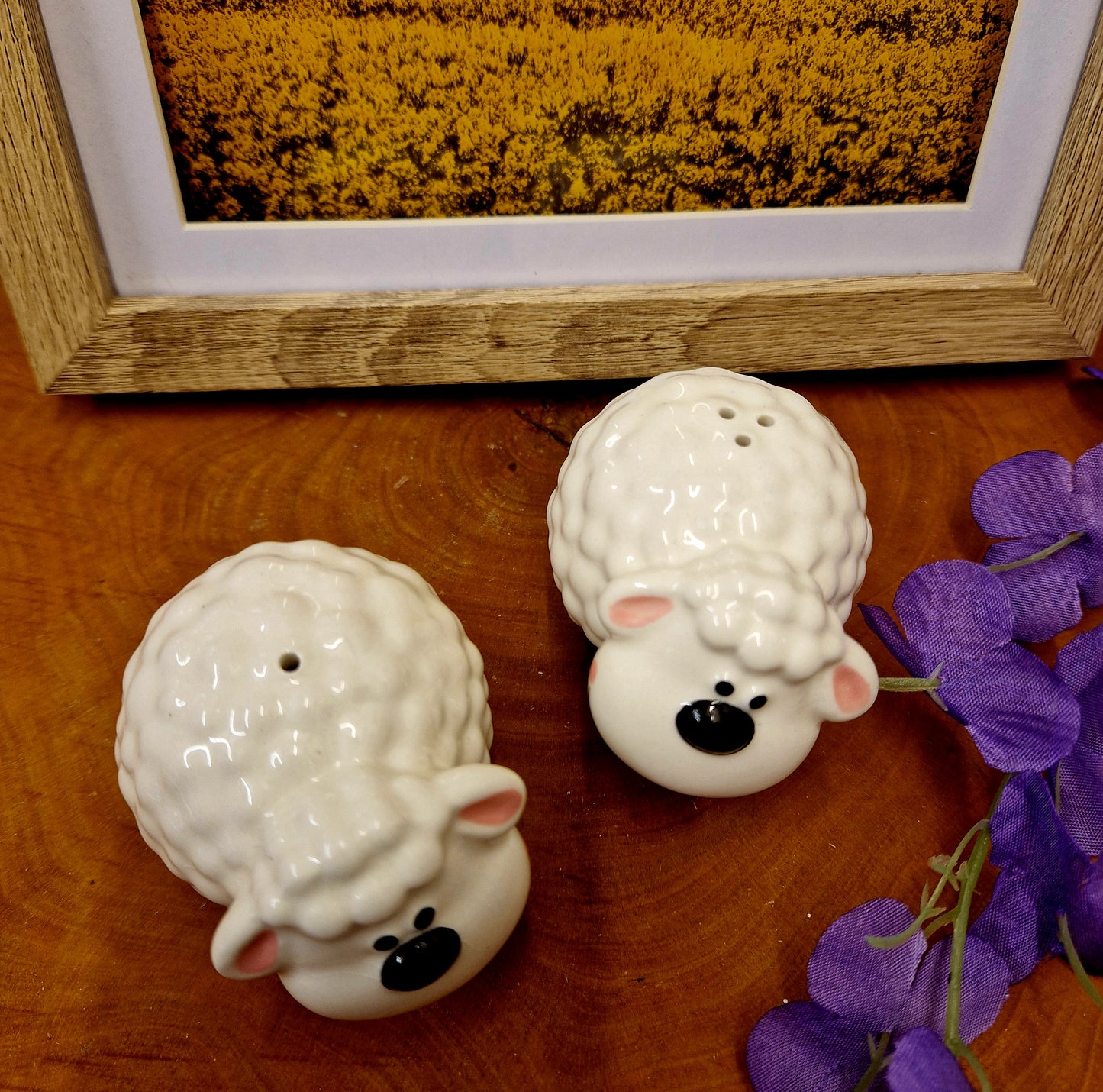 Salt and Pepper pot - Sheep