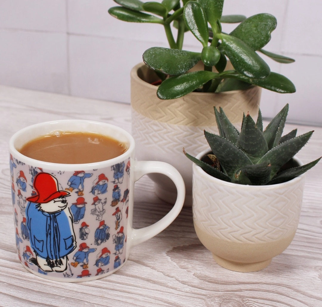 Paddington Bear Heat change mug in box